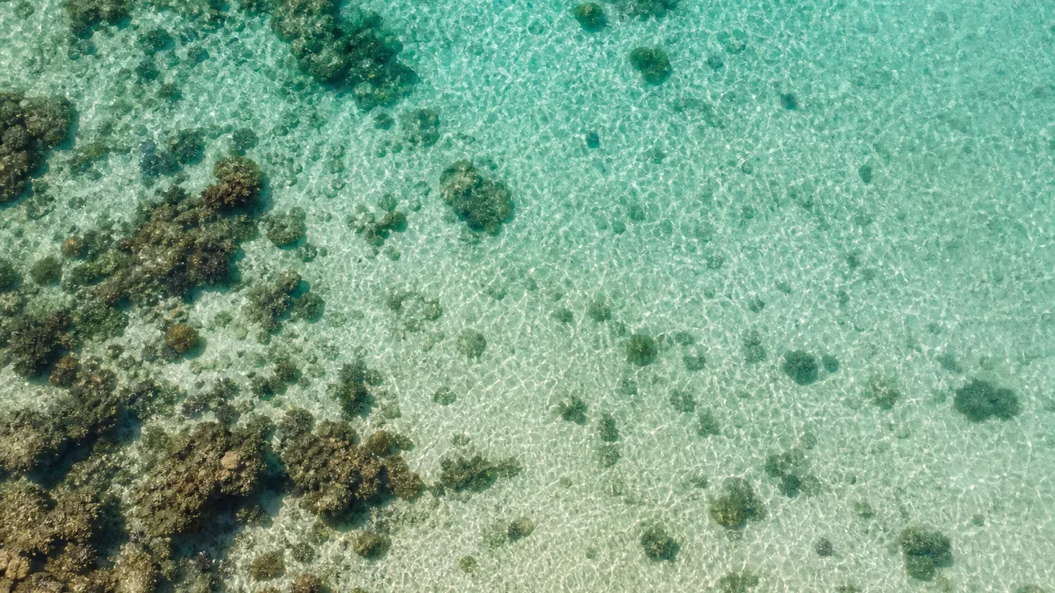 Aerial view of shallow turquoise water over pale sand with scattered coral formations visible beneath the rippling surface