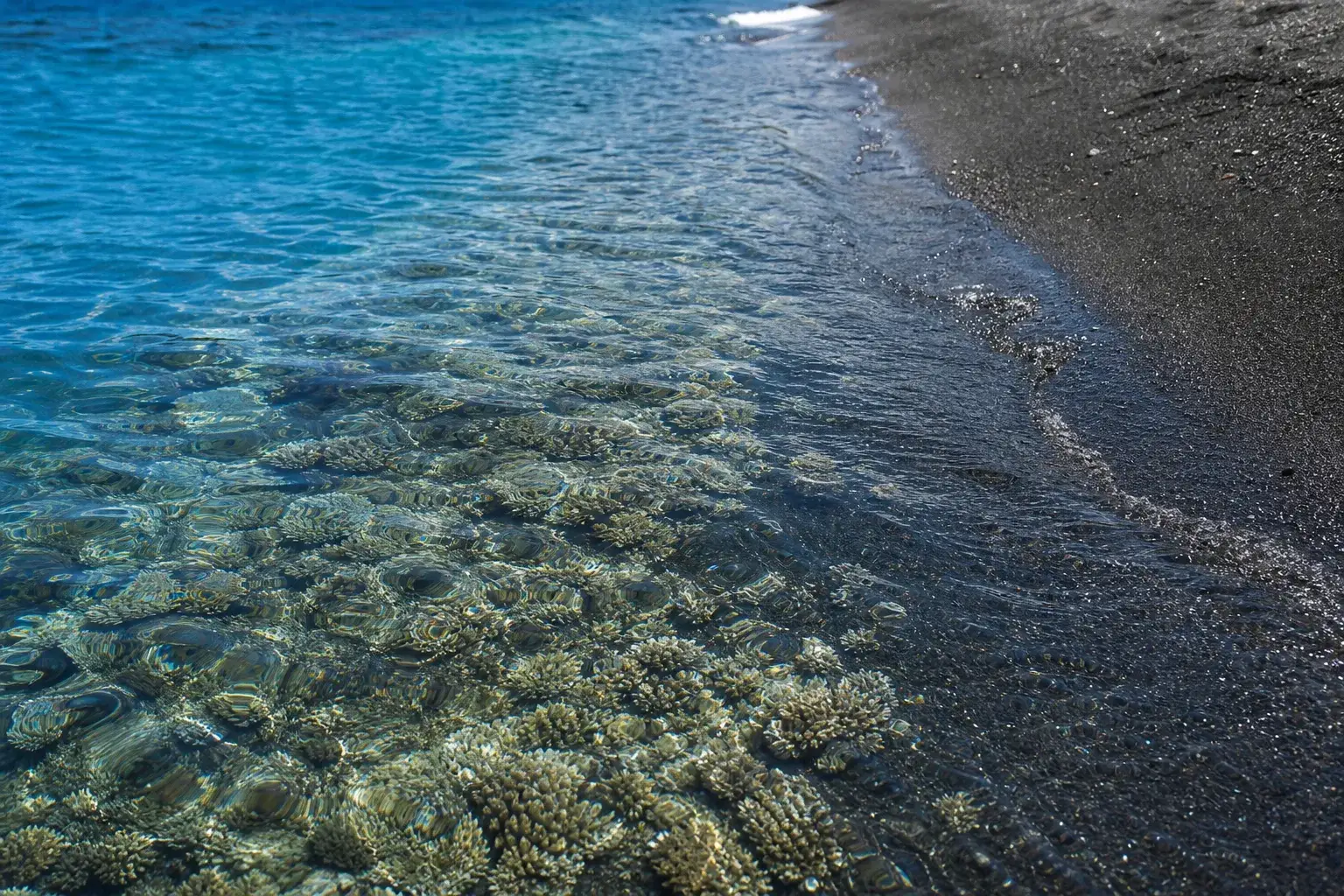 Crystal-clear shallow water washes over a dense coral reef beside a shoreline of dark volcanic sand in bright sunlight