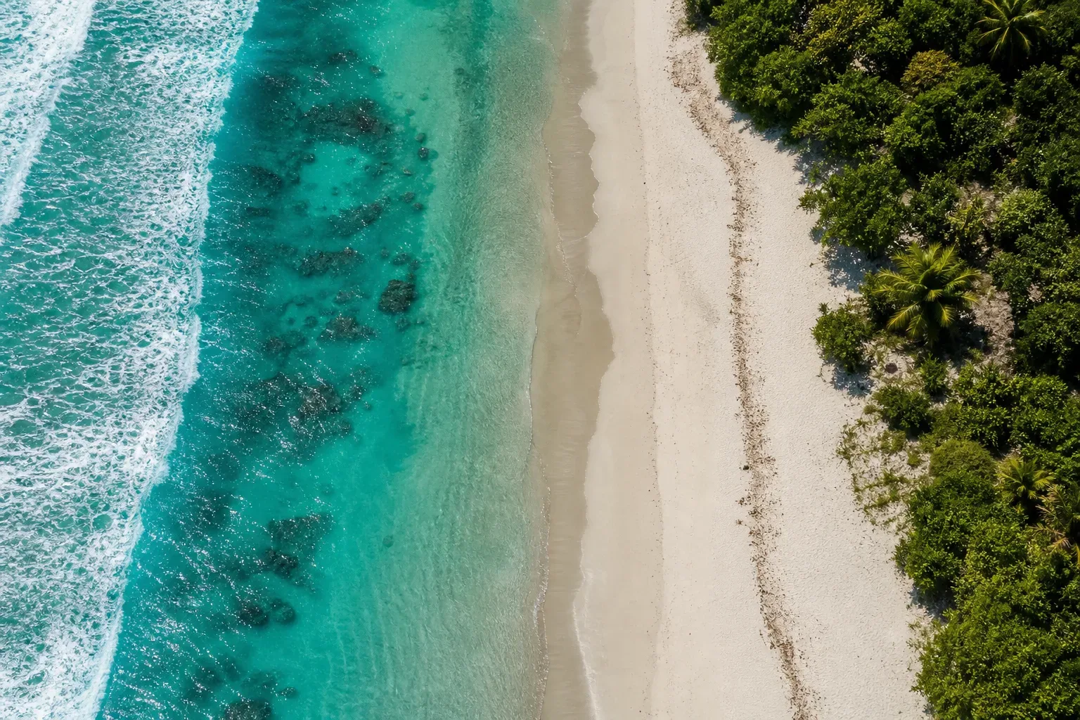 Aerial view of a deserted tropical beach with white sand, turquoise shallow water over coral reef, and dense green palm vegetation along the shoreline