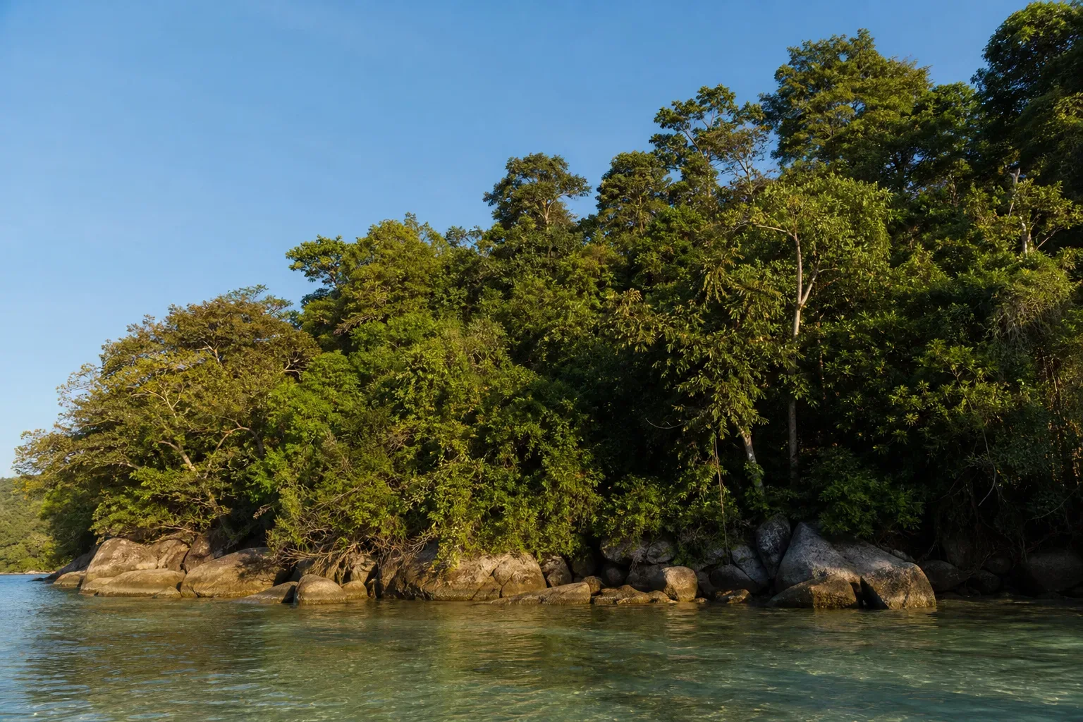 Dense tropical trees grow down to a rocky shoreline at the edge of calm, shallow turquoise water beneath a clear blue sky