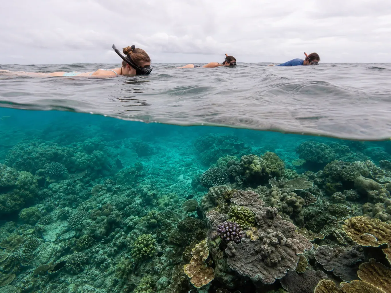 Three snorkellers float face-down on the surface of clear turquoise water above a dense, colourful coral reef visible beneath them under overcast skies