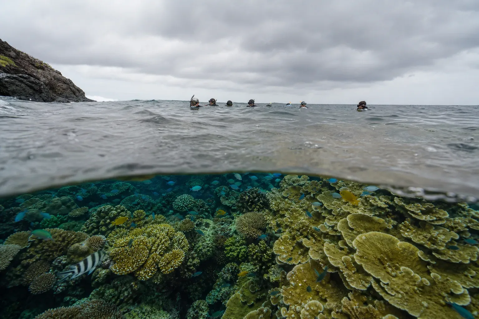 A group of snorkellers float at the surface above a vivid coral reef teeming with fish, with rocky coastline visible in the background under an overcast sky