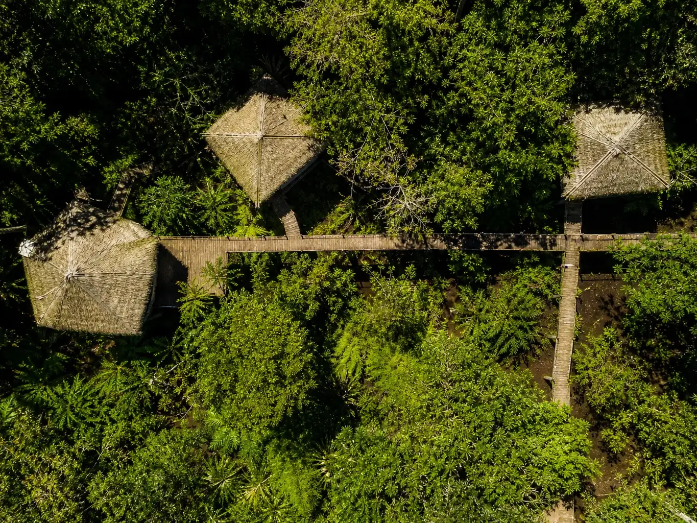 An aerial view of thatched-roof huts connected by a raised timber walkway, nestled within dense tropical forest canopy