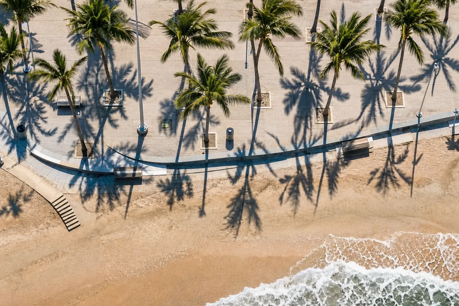 An aerial view of a palm-lined seafront promenade casting long dramatic shadows across the pavement and sandy beach below, with gentle waves reaching the shore