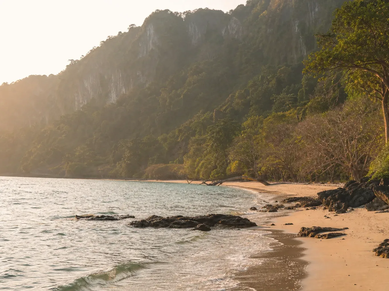 A sandy beach curves along a sheltered cove with dark rocks at the water's edge, backed by dense tropical forest climbing steep limestone cliffs in warm golden light