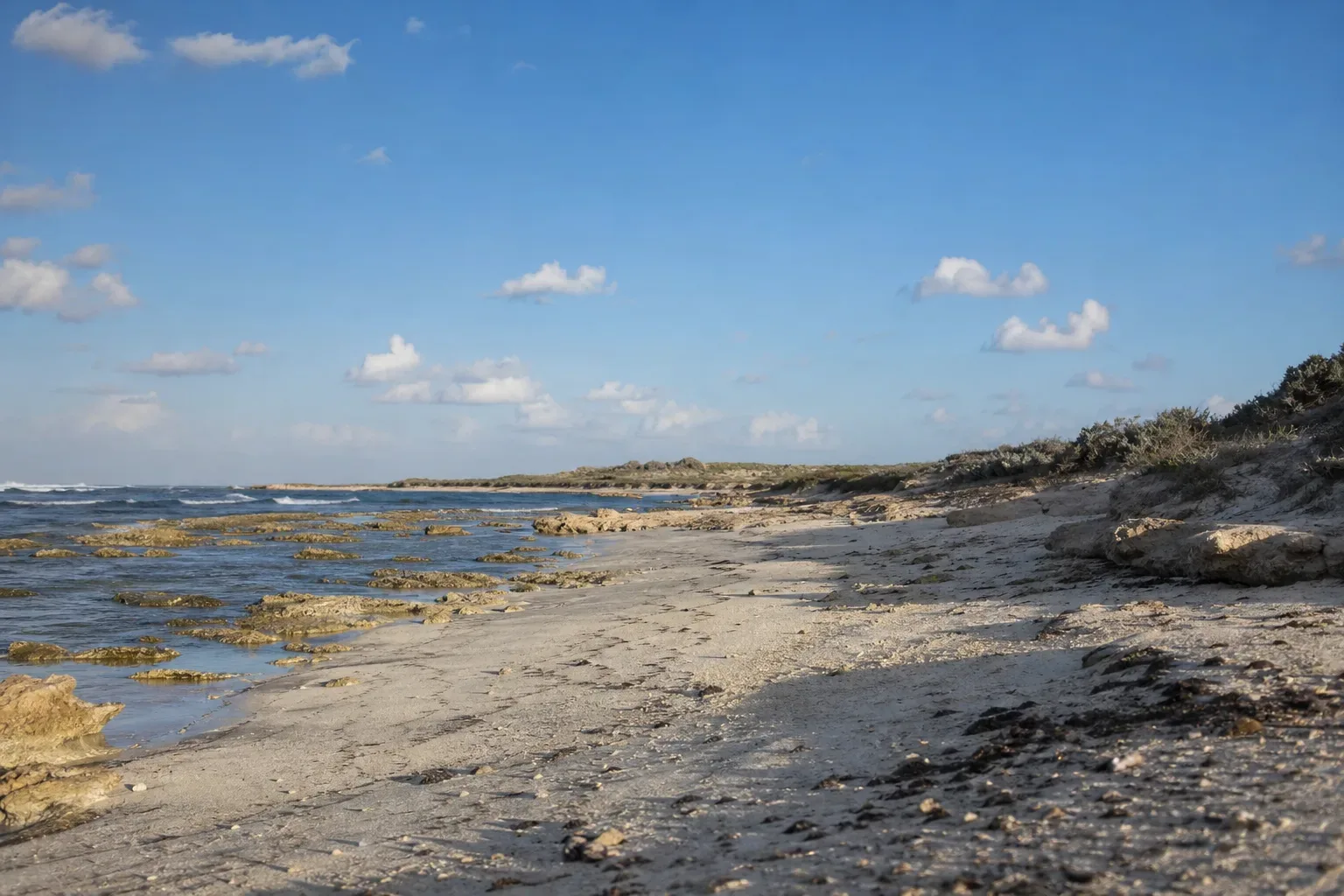 A rocky shoreline stretches into the distance under a broad blue sky with scattered white clouds, with flat reefs exposed at low tide beside pale sandy beach and low scrubby vegetation on a coastal ridge