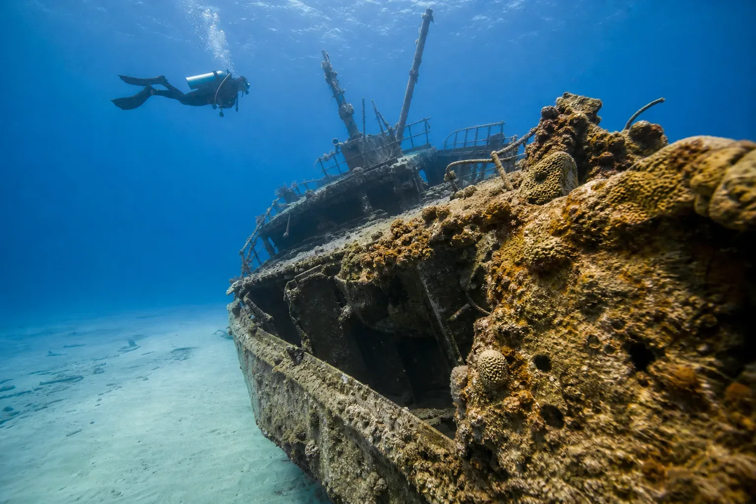 A scuba diver fins above a heavily coral-encrusted shipwreck resting on a pale sandy seabed in clear blue water